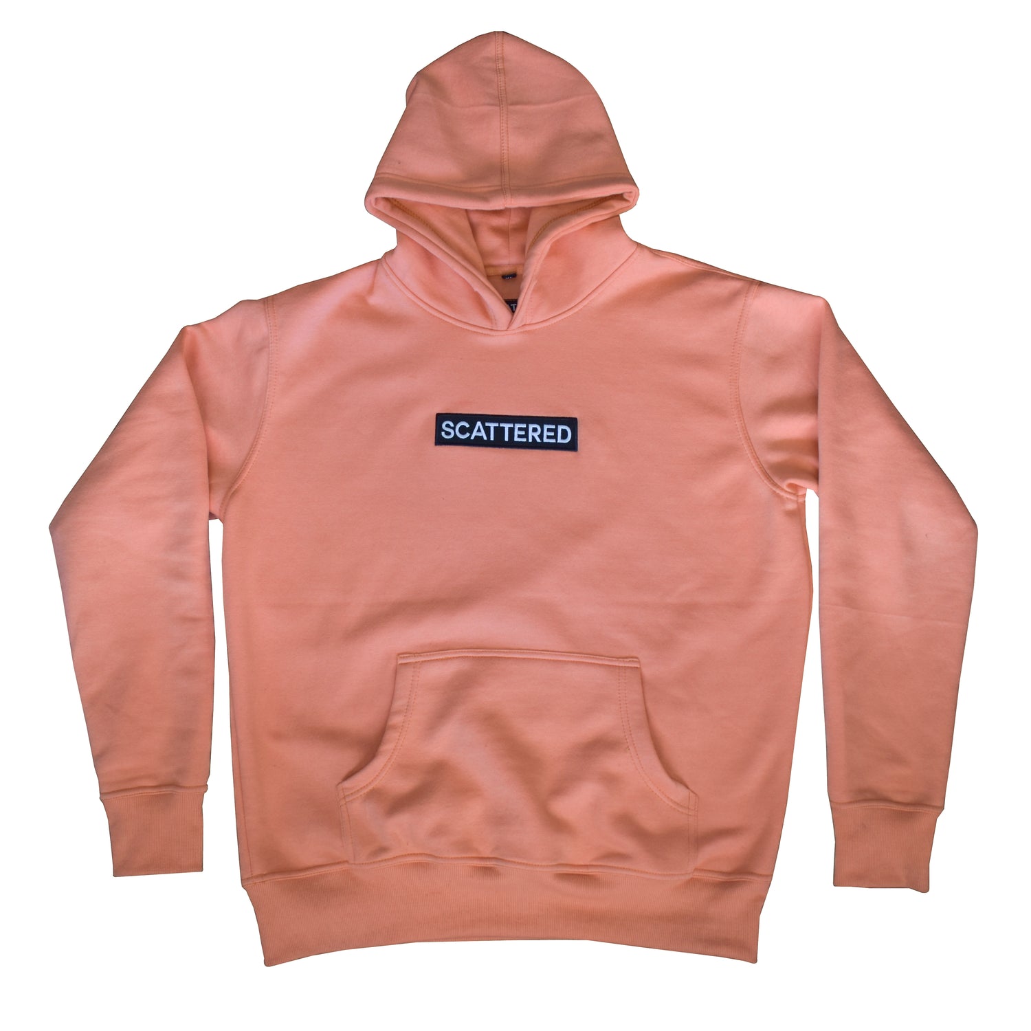 Salmon Box Logo Hoodie